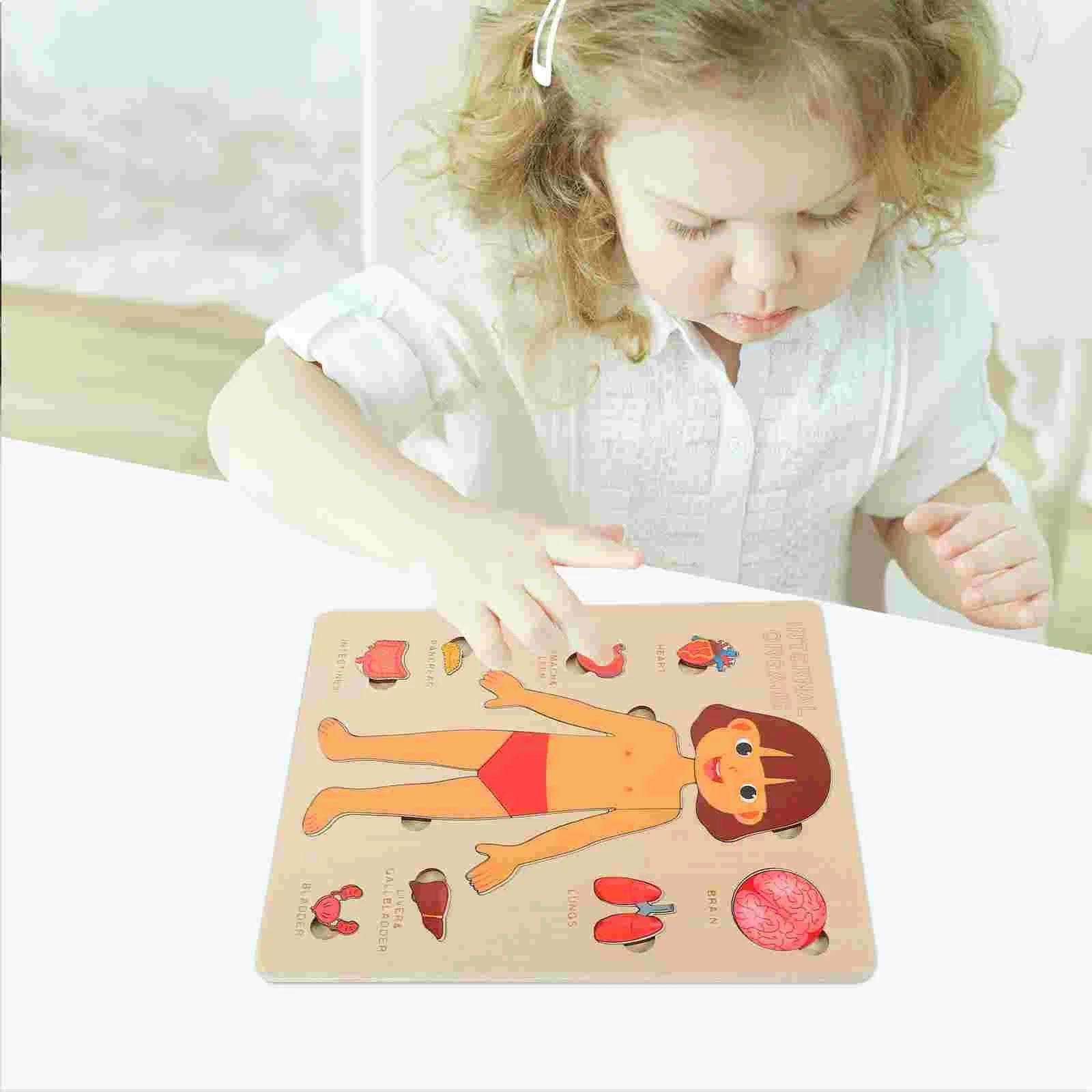 Human Body Puzzle for Kids