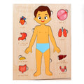 Human Body Puzzle for Kids