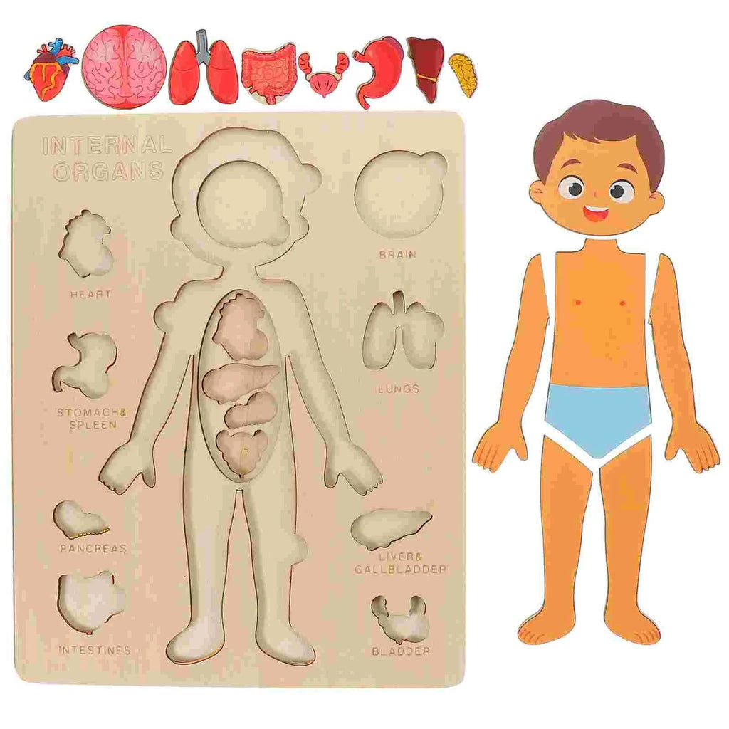 Human Body Puzzle for Kids