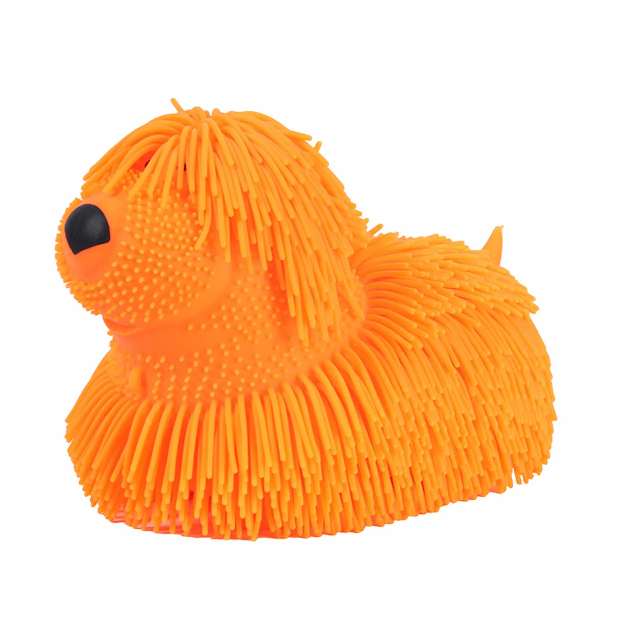 Orange textured dog toy on a white background
